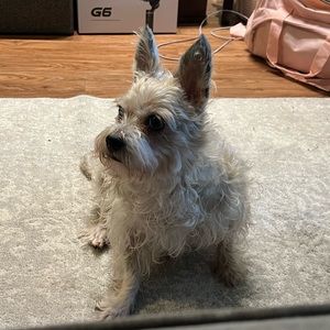 Meet your Posher, Alexandra